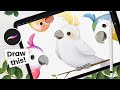 How To Draw: Cute Birds • Procreate Tutorial • Easy Digital Art Drawing Lessons