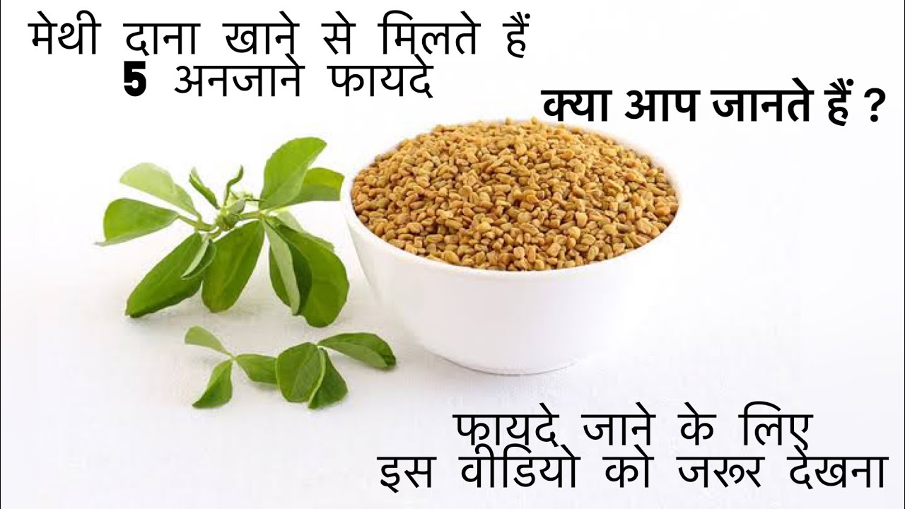 मेथी दाना खाने से मिलते हैं 5 अनजाने फायदे क्या आप जानते हैं ? Methi