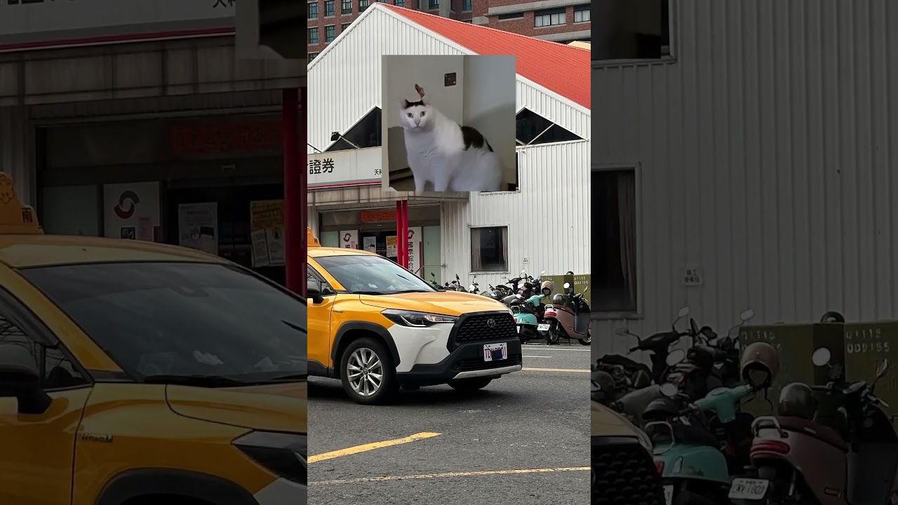 Huh? 四輪觀感良好?職業駕駛好棒棒?遮擋車牌!? #taiwan #traffic #taiwantraffic #道路平權 #四輪大爺 #職業駕駛 #台灣交通 縮圖