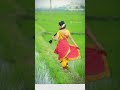म्हाळसा राणीला सोडून गेला चंदनपुराला #trending #youtubeshorts #marathisong #shortsvideo #ytshorts
