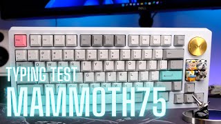 Mammoth75 Typing Test | No PE Foam | AEBoards Staebies