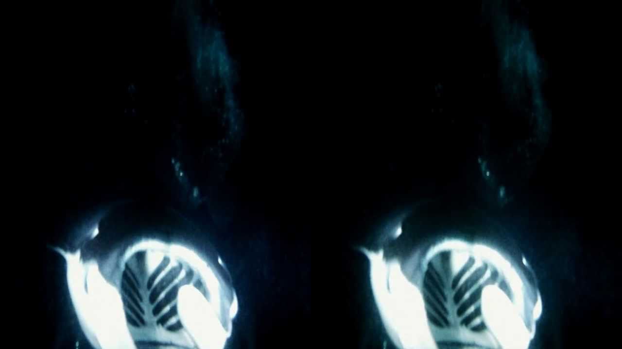 Big Island Divers 3D Manta Ray footage :)