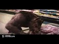 فلم المتحولون