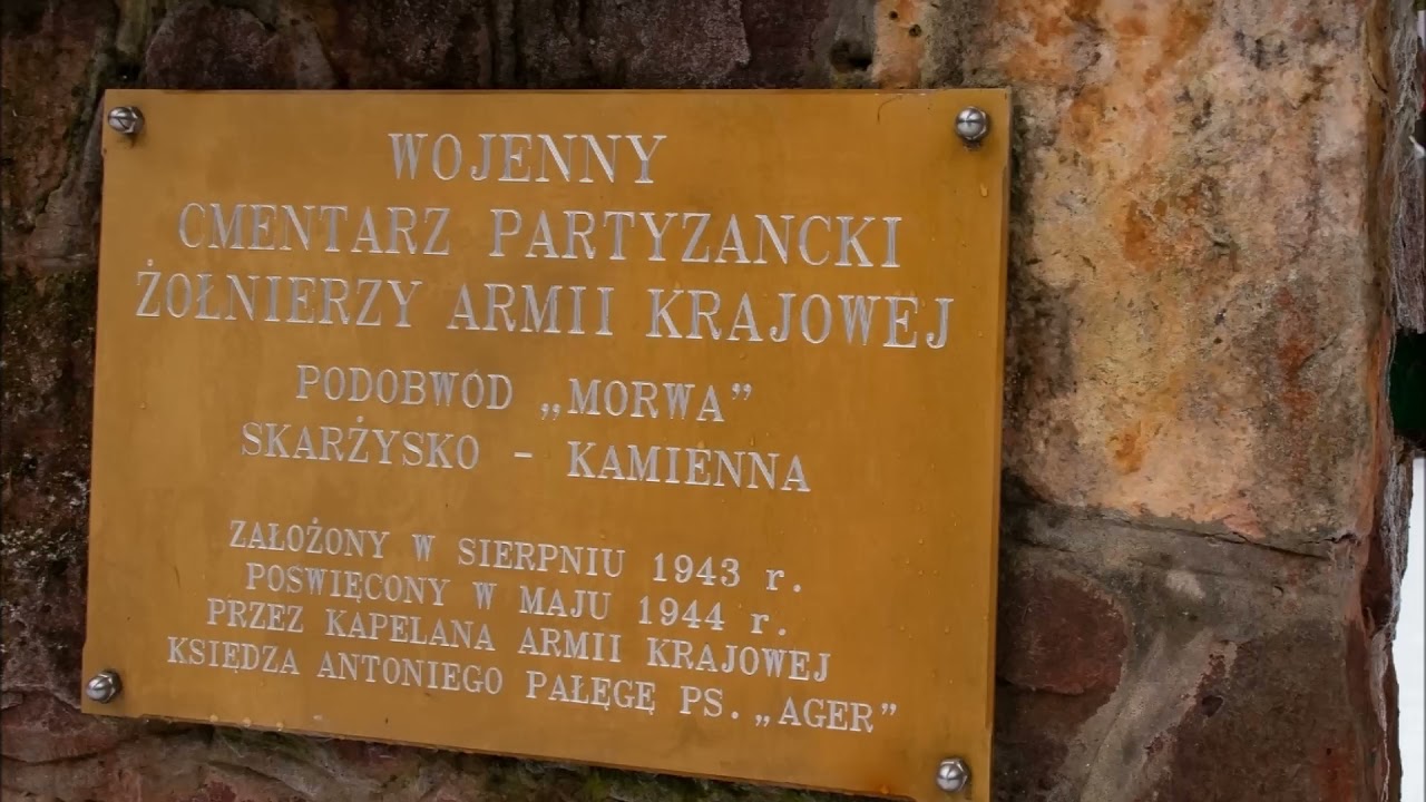 Johnny W - Leśne mogiły