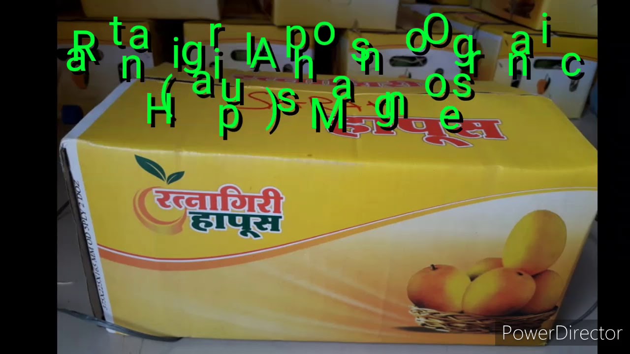 Alphonso organic Mangoes