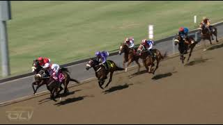 Vidéo de la course PMU PRIX MARYAH / GOOD TRAVELLER MAIDEN PLATE