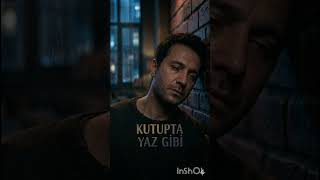Kutupta Yaz Gibi