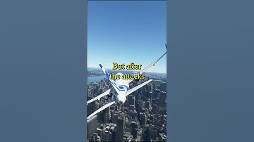 If you do this in game Microsoft will ban you!!!#gaming #microsoft #microsoftflightsimulator