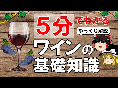Wine Basics] A 5-minute guide to wine basics for beginners - YouTube