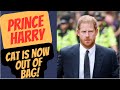 HARRY - CAT IS NOW OUT OF THE BAG WITH THIS NEWS #royal #meghanmarkle #princeharry