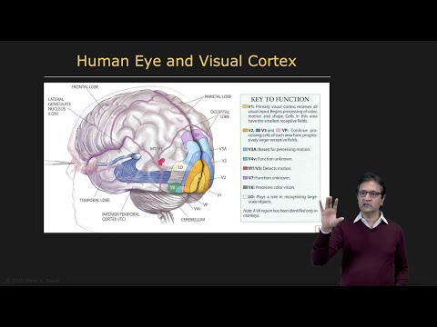 How Do Humans Do It? | Introduction