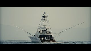 A Day on Blue View (Bayliss 78')