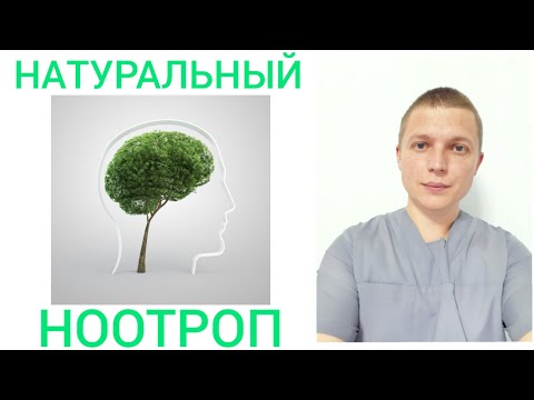 Video: Бакопа Монниеринин жөнөкөй жолдору: 11 кадам (сүрөттөр менен)