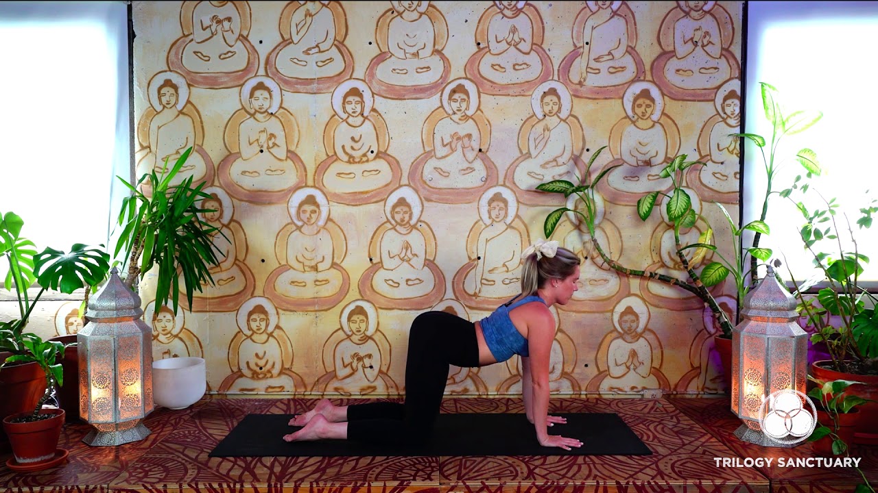 Gentle Yoga Flow for NECK PAIN for All-Levels (20 min) | Trilogy Sanctuary Yoga