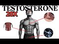 Stop Losing TESTOSTERONE before It’s too Late (Full Guide)