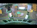 Super Triple Feeder in New England! Red Bellied, Northern Flicker, Downy, Hairy Woodpeckers &amp; more!