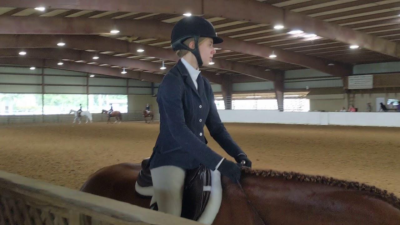 4H District show Hunter Under Saddle 2019 YouTube