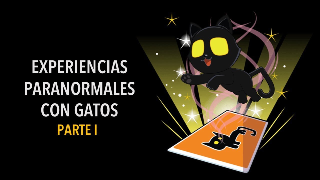 EXPERIENCIAS PARANORMALES CON GATOS (HISTORIAS DE TERROR)
