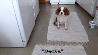 Some of Ruby's tricks