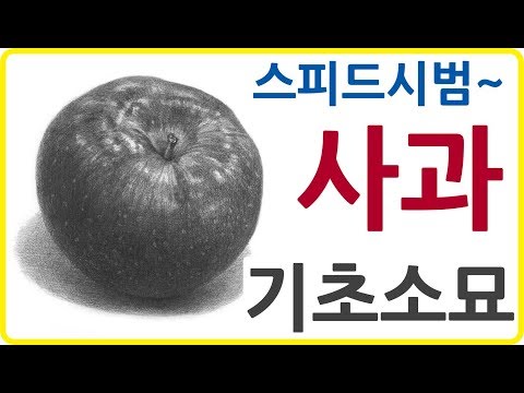기초소묘 사과 그리기 스피드시범