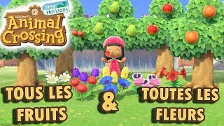 Avoir tous les Fruits et Toutes les Fleurs | Animal Crossing New Horizons