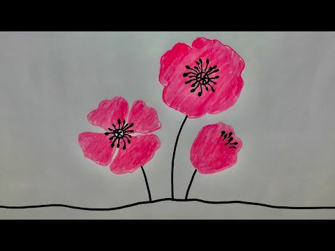 Video: Gelincik Nasıl çizilir