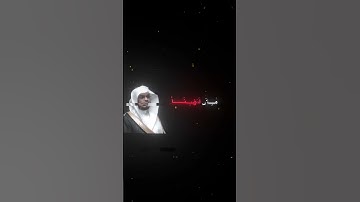 سورة القصص | ياسر الدوسري #explore #قرآن #لايك