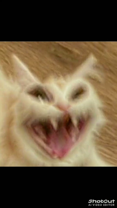 boys are crazy🥴🤸🤯 #music #automobile #butifyoucloseyoureyes