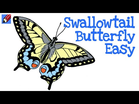 Draw a Swallowtail Butterfly Real Easy