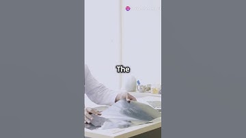 Common Misconceptions You Still believe!