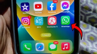 WhatsApp keeps Crashing on iPhone 13 Pro Max in iOS 16.4 [Fixed] screenshot 3