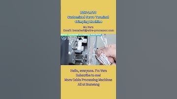 🌞 BOZWANG-2.5TS Customized  Servo Terminal Crimping Machine