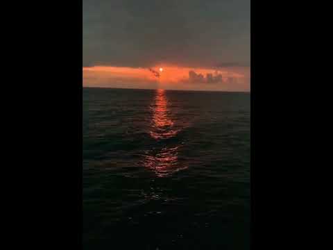 رحلت إلى بحار العشق ناصر السعيد