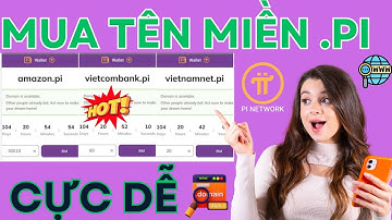 Pinetwork | Hướng dẫn mua tên miền . Pi cực kỳ đơn giản