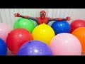 Spider Man Popping Giant Color Balloons!