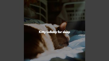 Charming Moods for Open Work Floors