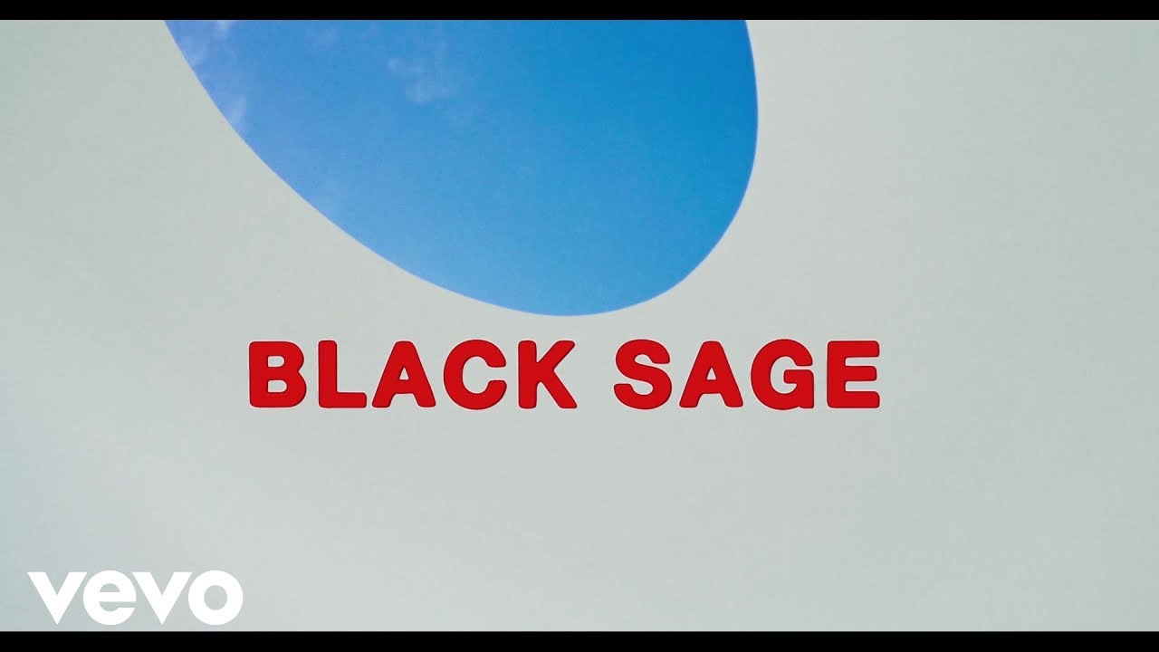 Mystery Jets - Black Sage (Live from the Skyspace) (Official)