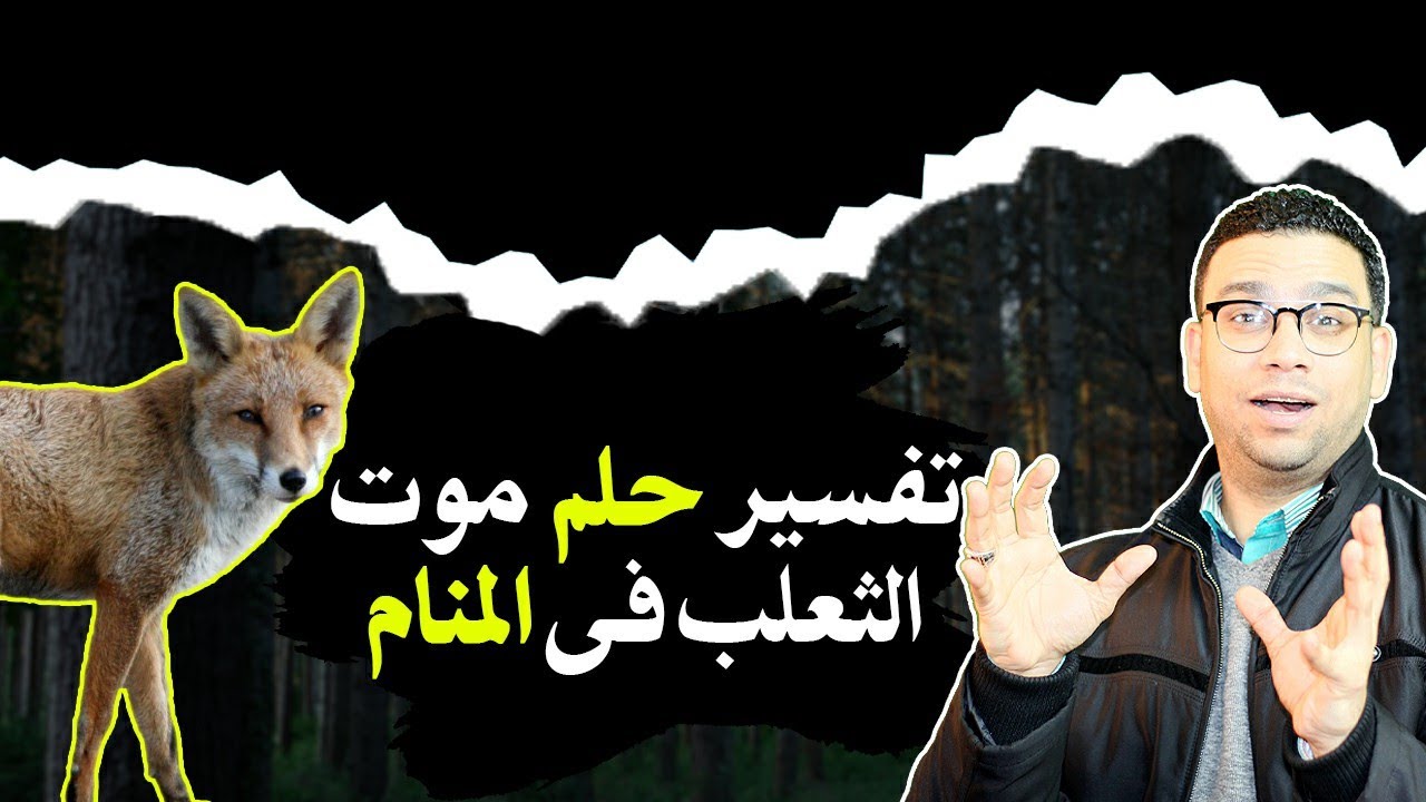 تفسير حلم موت الثعلب في المنام | مع كريم فؤاد