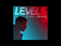 Nick Jonas - Levels (Audio)