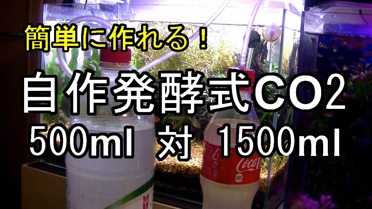 自作発酵式co2 作り方と検証 500ml対1500ml 水草水槽 Youtube