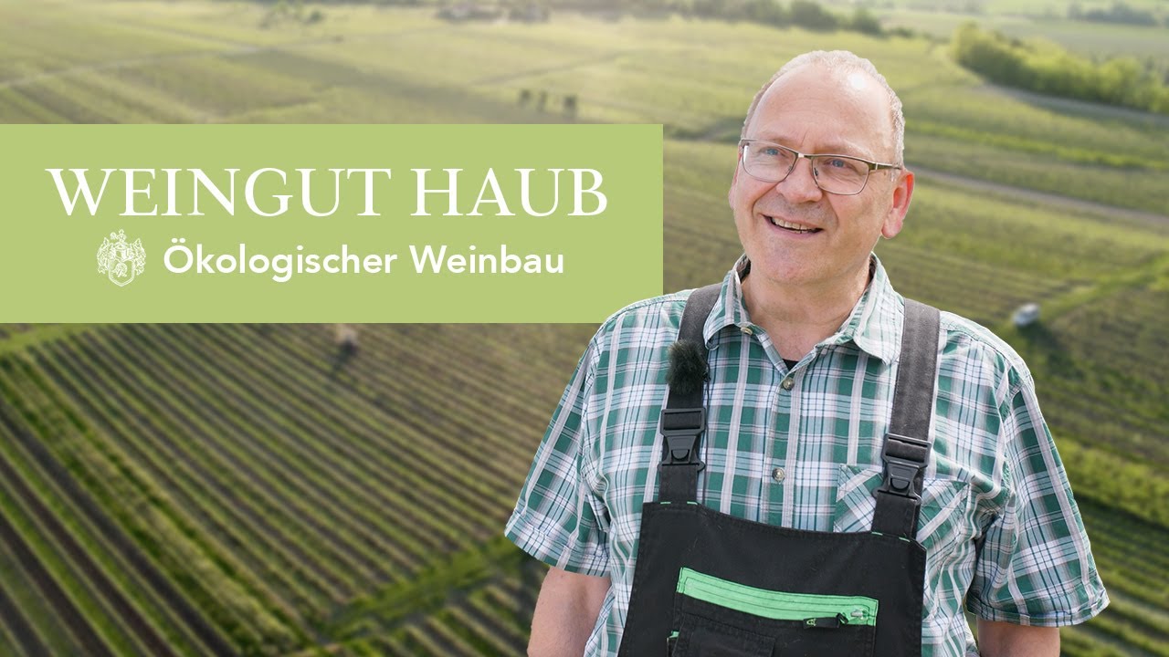 Vom Wein zum Biowein | Weingut Haub (Abschlussfilm Mediengestalter Bild und Ton)