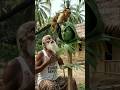 The man and monkey
