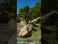 Max Level Carcharodontosaurus Not Going Well #arksurvivalascended #gamer #arksurvivalevolved