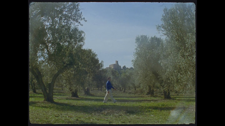 Juanjo Bona - La Plaza y El Río