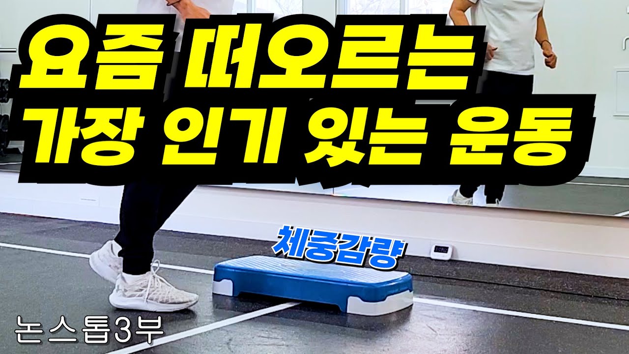 [논스톱3부] 스텝박스로 다이어트에 성공했다.