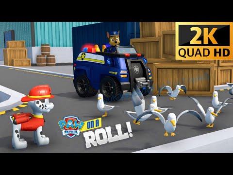 Paw Patrol On A Roll! 2K Quad HD #5 Marshall U0026 Zuma U0026 Chase