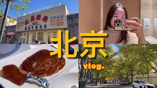 beijing vlog 🇨🇳 | a work trip to china, shopping at sanlitun in autumn 🌃