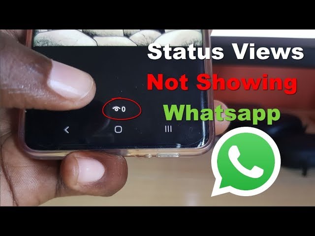 Status Views Not Showing Whatsapp Fix class=