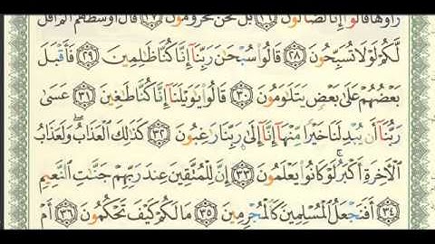 سورة القلم ص 565 الشيخ / فهد العمار