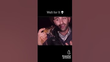 Have you not figured that you already got captured #shorts #memes